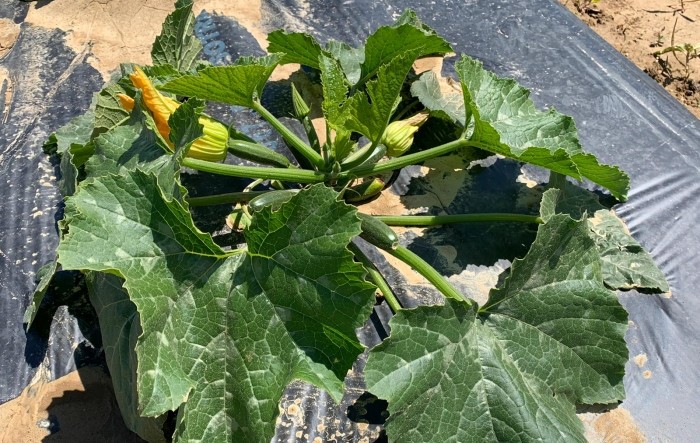 MONITUS AGRO d.o.o.
