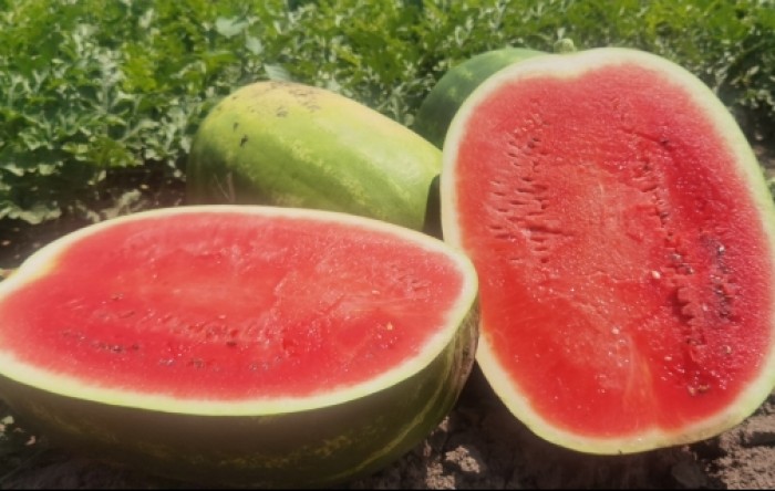 MONITUS AGRO d.o.o.