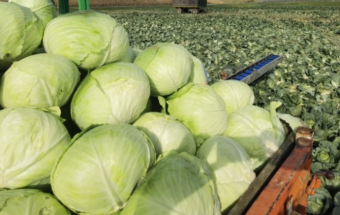 MONITUS AGRO d.o.o.