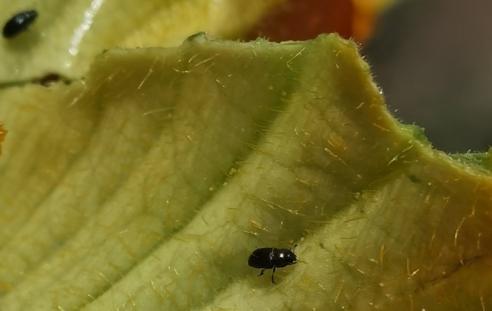 MONITUS AGRO d.o.o.